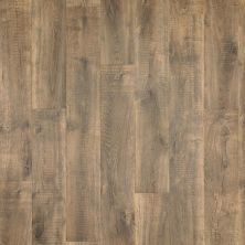 Perfect Home Premier Earth Grove Ashen Oak CP01V-348