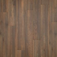 Perfect Home Trend Textures Snow Shimmer Oak CP42L-C03