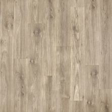 Perfect Home Premier Fernbrook Speckled Gray Oak CP47L-C04