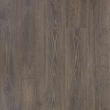 Perfect Home Fern Haven Autumn Maple Oak CP78L-C03