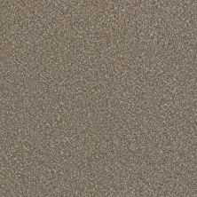 Perfect Home Timeless Trends II Flaxen CP911-2391