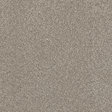 Perfect Home Timeless Trends II Burnished CP911-2499