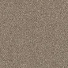 Perfect Home Timeless Trends II Woodland CP911-4506