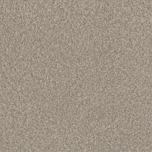 Perfect Home Timeless Trends II Pine Cone CP911-4878