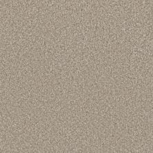 Perfect Home Timeless Trends II Northlight CP911-4933