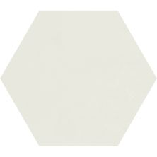 Carrollton Style Access  White 9×10 Hexagon CTFL01910HEX1P