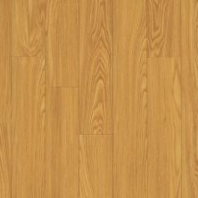 Carpetsplus Colortile Select Luxury Vinyl Flooring Essentials 5″ Rocky Mountain Oak CV233-207