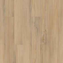 Carpetsplus Colortile Select Luxury Vinyl Flooring Essentials 5″ Dodwell Oak CV233-573
