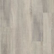 Carpetsplus Colortile Select Luxury Vinyl Flooring Essentials 6″ Deep Lake Oak CV235-50004