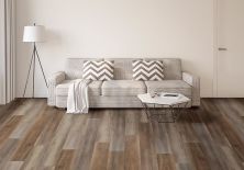 Carpetsplus Colortile Select Premier Luxury Vinyl Flooring Premier 9″ Grandure Oak CV241-2901