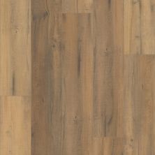 Carpetsplus Colortile Select Premier Luxury Vinyl Flooring Premier 9″ Virtue Oak CV241-2904