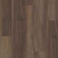 Carpetsplus Colortile Select Premier Luxury Vinyl Flooring Premier 9″ Pride Oak CV241-2907
