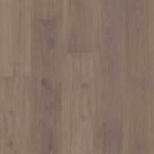 Perfect Home Cedar Bluff Smokey Velvet CV506-5064