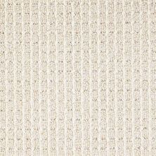 Masland Carpets & Rugs Conqueror Adore D010-13111