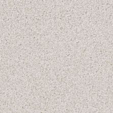 Kennel Club Lasting Luxury  Bichon Frise LL_D059K-71249