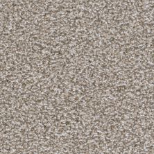 Kennel Club Lasting Luxury  Pinscher LL_D059K-87843