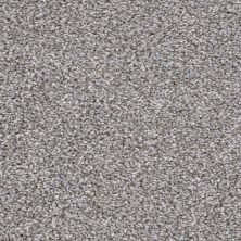 Kennel Club Lasting Luxury  Schnauzer LL_D059K-98840