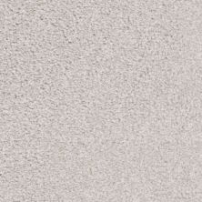 Big Shot Lasting Luxury  Bichon Frise LL_D060K-71249