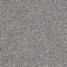 Big Shot Lasting Luxury  Schnauzer LL_D060K-98840