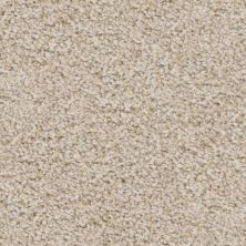 Trapper Lasting Luxury  BICHON FRISE LL_D068K-71249