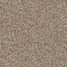 Trapper Lasting Luxury  SPANIEL LL_D068K-74860