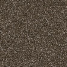 Trapper Lasting Luxury  DACHSHUND LL_D068K-88841