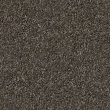 Trapper Lasting Luxury  SCHNAUZER LL_D068K-98840