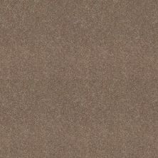 Dyersburg In Stock  Classic 12′ Taupe Mist DLPHNIS-E0947-792