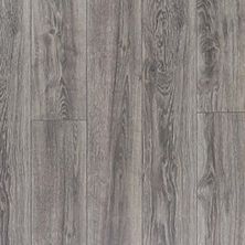 Palmetto Road Brunswick Collection Distressed Oyster DSTRSSD_YSTR