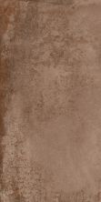 Paramount Tile Antwerp BROWN EG300X600ATW06