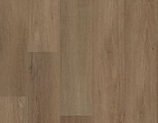 Carpets Of Dalton Canyon Select Shelby Oak CODCS-EOAK