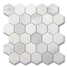 Stone Mosaics Akdo  Hexagon Carrara Bella (P) White, Gray MB1604-HEXAP0