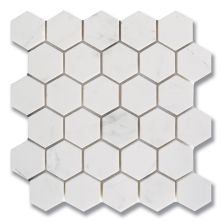 Stone Mosaics Akdo  Hexagon Dolomite (H) White, Gray MB1796-HEXAH0