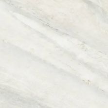 Anatolia Evolution Ice 4500-0260-0
