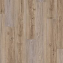 International Flooring Company Canyon Americas Fall Branch Hickory COR0022
