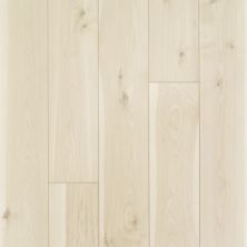 Carpetland USA Colortile Luxury Flooring Destination 2.0 Maple Bone Hickory LDB93-01