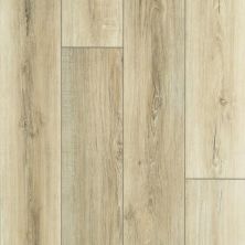 Floorte Pro Series Andventure Hd+ Accent Driftwood 703SA-01053