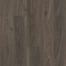 Floorte Pro Series Anvil Plus Dark Elm 2032V-00915
