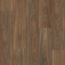 Floorte Pro Series Endura Plus Modern Classic 0736V-07295