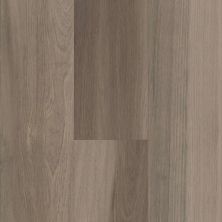 Floorte Pro Series Intrepid HD Plus Chestnut Oak 2024V-05010