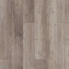 Floorte Pro Series Paragon 5″ Plus Distinct Pine 1019V-05039