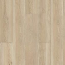 Floorte Pro Series Paragon Hd+ Natural Bevel Cambridge 3038V-02048