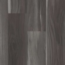 Floorte Pro Series Tenacious Hd+ Accent Shadow 3011V-00921