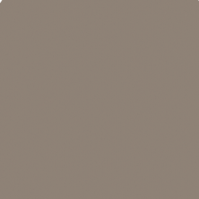 Surface Art Force Contemporary Taupe TSCFORTAQTRRND