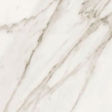 Precious Florida Tile  Calacatta FTI3500112X24