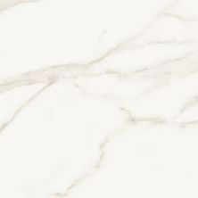Florida Tile Precious Calacatta FTI3500118X36