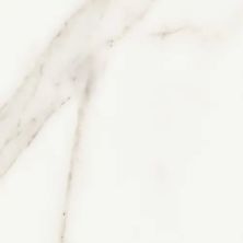 Florida Tile Precious Calacatta FTI350015X14