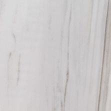 Alustra Florida Tile  Majestic White Lasa FTIALU1012x24