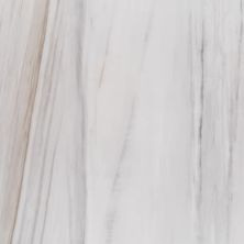 Alustra Florida Tile  Majestic White Lasa FTIALU10P24x48