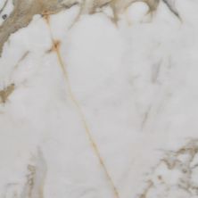 Alustra Florida Tile  Imperial Gold Calacatta FTIALU2012x24